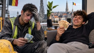 Working or Not Working in Belgium?