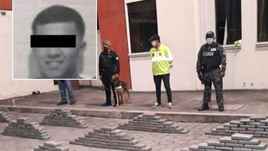 Ecuadorian authorities intercept 800 kilograms of cocaine destined for Antwerp